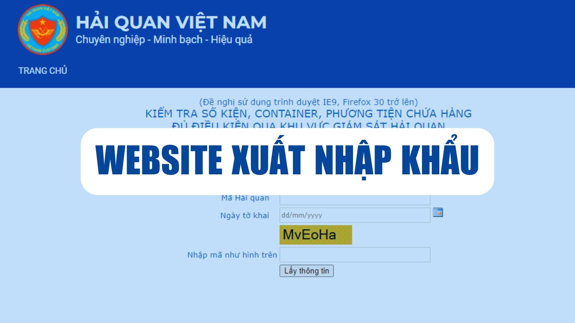 Website xuất nhập khẩu thường sử dụng