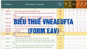 Biểu thuế nhập khẩu ưu đãi đặc biệt Việt Nam Liên minh Kinh tế Á Âu