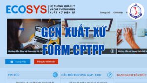 văn bản pháp quy giấy chứng nhận xuất xứ form cptpp