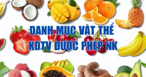 Danh mục vật thể thuộc diện kiểm dịch thực vật được phép nhập khẩu từ NAM PHI