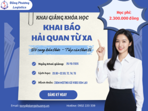 Khóa học nghiệp vụ hải quan từ xa